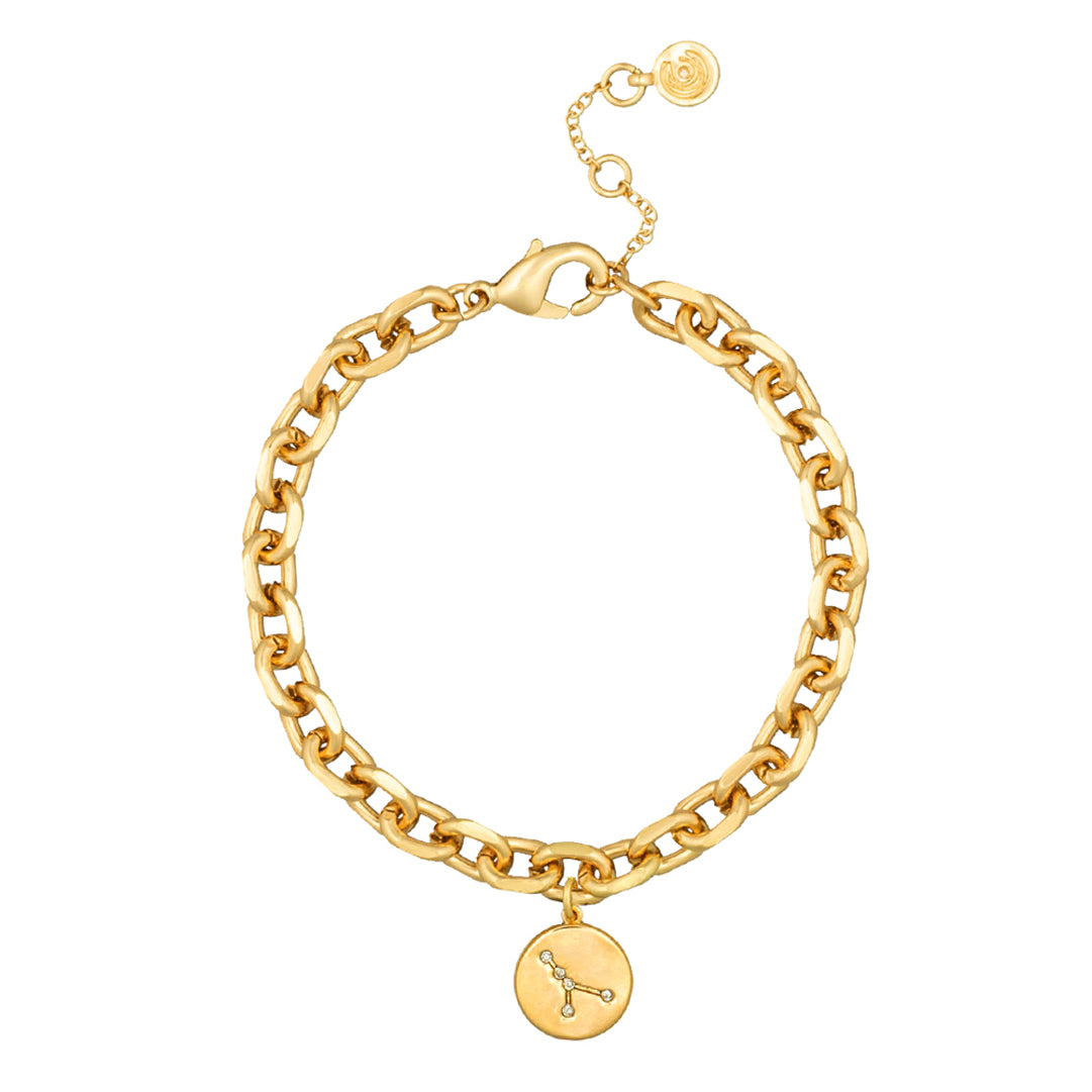 Zodiac Sign Constellation Charm Bracelet